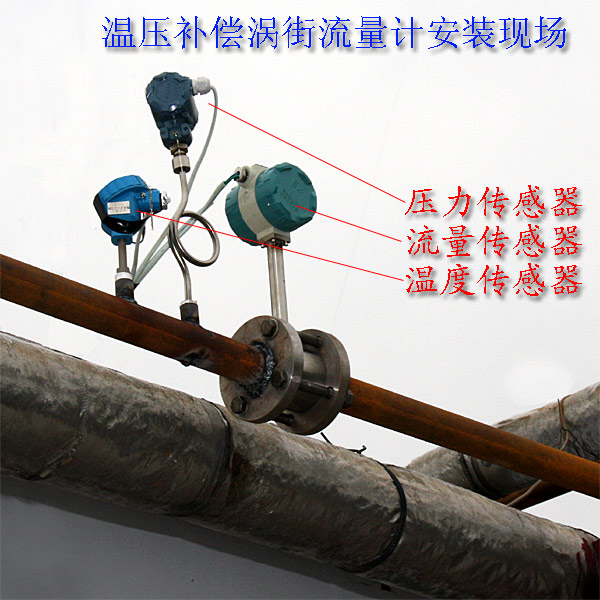 帶溫壓補(bǔ)償渦街安裝示意圖
